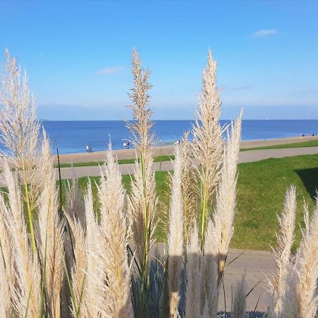Apartment Jadestrand, Am Alten Deich 4-6, Whg 1 20 ダンガスト エクステリア 写真